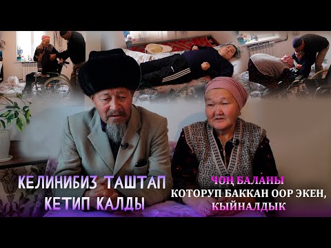 Жаш баладай тамак берип, колго тосуп 5 жылдан бери багып жатабыз