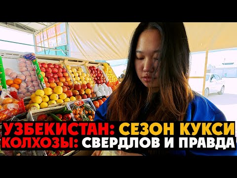 🇺🇿 УЗБЕКИСТАН: Ташкентские Колхозы «СВЕРДЛОВ» И «ПРАВДА» + ТОП-5 лучших кафе в этих районах?