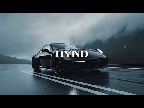 THE NEW DYNO | STEK