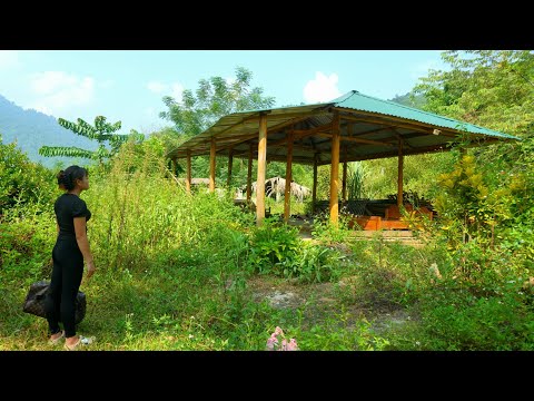 TIMELAPSE:Girl Leaves City for Forest to Restore Abandoned Old House | Unbelievable Transformation!