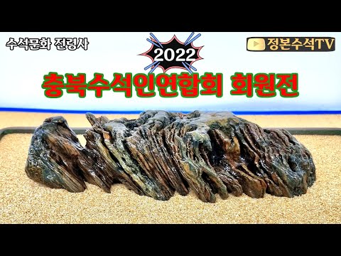 439.#2022 충북수석인연합회 회원전 #정본수석tv #수석탐석 #수석 #탐석 #수석전시회 #수석감상 #수석경매 #충북수석회