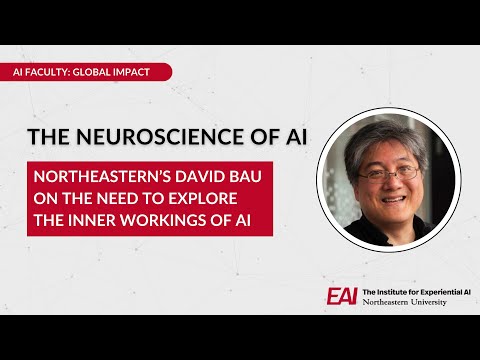 The Neuroscience of AI: David Bau on the Need to Explore the Inner Workings of AI