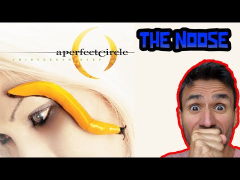 Sober Guy Reacts To A Perfect Circle - The Noose (REACTION)