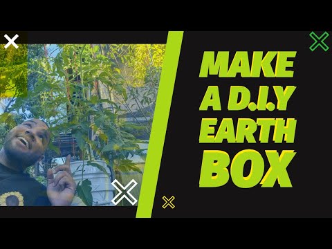 DIY Earthbox