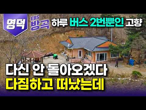 [경북 영덕] 아내, 자식들은 도시에 두고 다신 돌아오지 않겠다 다짐했던 고향, 뇌종양 아버지를 위해 홀로 돌아온 아들｜하루에 버스 단 2번만 들어오는 산골｜#한국기행 #방방곡곡