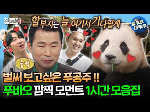 [#엠뚜루마뚜루] 우리의 행복이자 사랑이었던 푸바오에게❤ 함께했던 그 순간을 떠올리며✨ 푸공주와의 추억 모음.zipㅣ#푸바오 #나혼산 #전참시 MBC230714방송