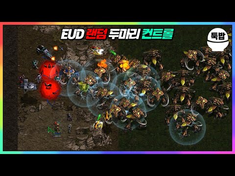 【유즈맵】EUD 랜덤 두마리 컨트롤