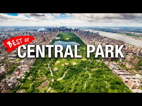 How To See Central Park NYC in A Few Hours!