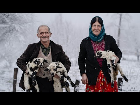 Rural life in snowy days of fall, sheep-breeding and cooking chicken Lavangi