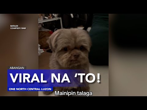 Ang mga balitang dapat tutukan ngayong Lunes, December 8, 2025 | One North Central Luzon