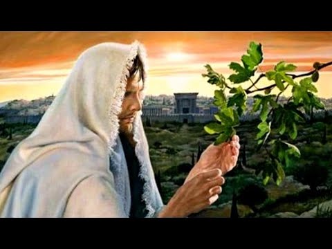 CXCY〈誠心呈義〉難解經文/耶穌咒詛無花果樹