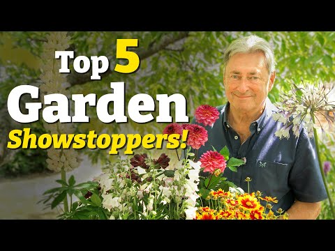 Top 5 Showstopping Plants to Transform Your Garden