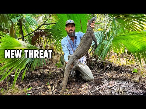 Florida’s Next Invasive Threat Is Already Here