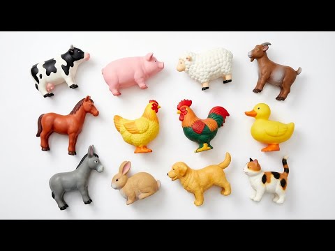 Farm Animals for Kids: Learning Cows & Chickens (Easy Facts) | Learning Videos For Toddlers