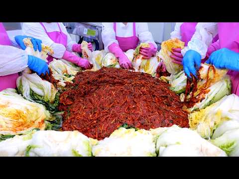 이래서 믿고 먹는다! 위생이 미친 대한민국 김치 공장의 놀라운 생산 현장 / Korean Kimchi Factory