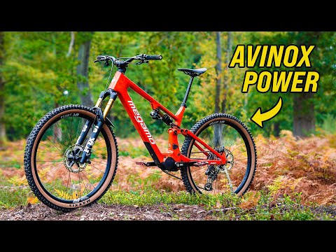 The eBike No One Saw Coming