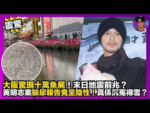 【震驚】大阪驚現十萬魚屍｜末日地震前兆？｜黃明志案驗尿報告竟呈陰性｜真係沉冤得雪？｜娛樂爆爆爆