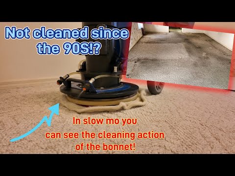 Trashed WHITE Carpet Meets The Ultimate Carpet Cleaning Tool! Not cleaned since the 1990S!?