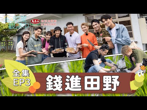 【全明星觀察中2】我抓的是福壽螺還是水蛭？七兄弟下田全員崩潰中！錢薇娟這次不當教練，一起來幫村長出任務！｜EP3：錢進田野｜馬玉山無添加蔗糖紅藜麥核桃飲