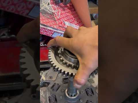 Mercedes Unimog : Input shaft Splines