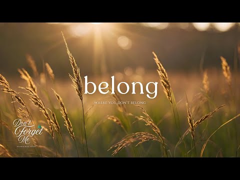 Where You Don’t Belong 🍂🌼 Relaxing Guitar Music for Sleep, Calm & Inner Peace