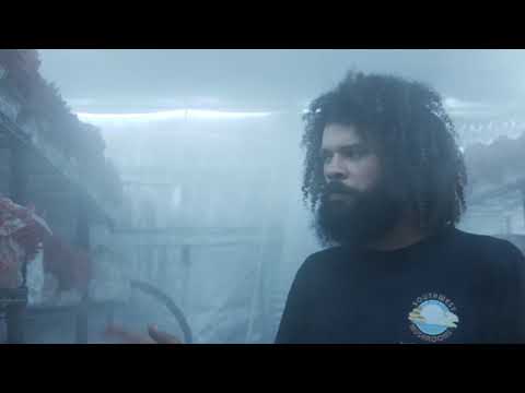 Fast Fruiting Mushrooms Indoors | How We Grow Top Yields | Southwest Mushrooms