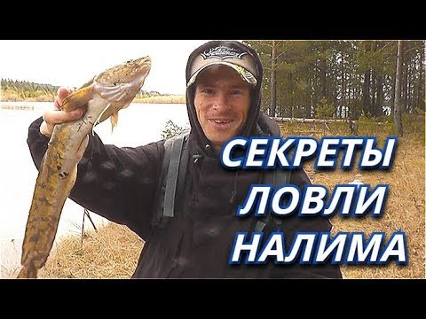Секреты РЫБОЛОВА!  Всё о донке - закидушке на налима! Выбор места и тд .
