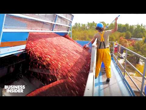 How Americans Spend $2 Billion On Food For Thanksgiving | Business Insider