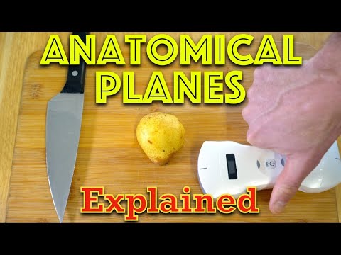 Understanding Anatomical Planes of the Body... With a Pear! - Clinical Skills - Dr Gill