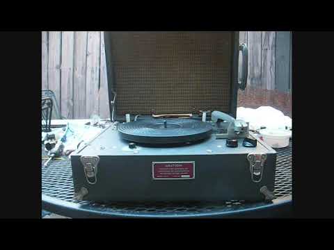 Dog passes away, how I got into electronics, etc.