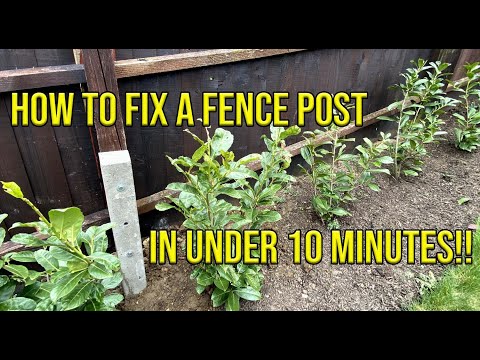 HOW TO FIX A FENCE POST IN UNDER TEN MINUTES *CHEAP & FAST*