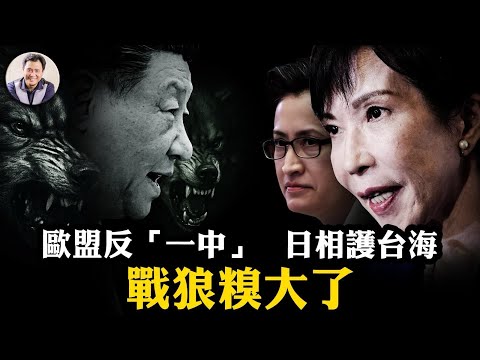 習近平遭遇72小時完美風暴！蕭美琴瞞天過海闖歐洲震驚北京，高市早苗國會亮劍堵死武統之路，中共戰狼「斬首」狂言反成鐵證！「一中原則」神話徹底終結！【江峰漫談20251110第1148期】