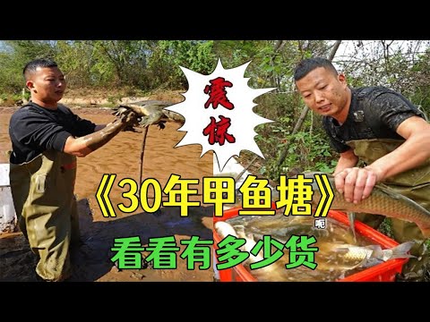 30年未幹過的老甲魚塘，壹抓壹大筐，簡直太過瘾了 #戶外 #小飛哥 #鄉村生活 #捕魚vlog