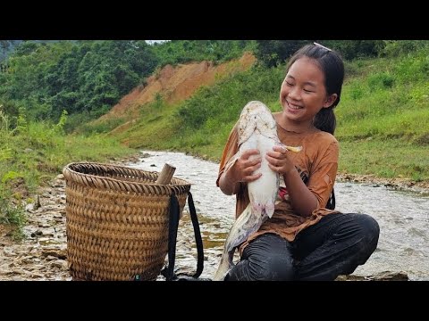 Primitive fishing skills, catching carp & catfish during flood season, harvesting fishing for sale