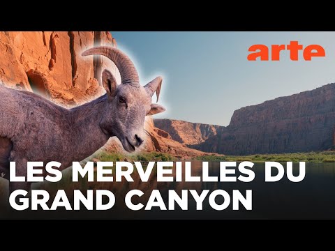 Grand Canyon, un héritage à préserver | Merveilles de la nature | ARTE Évasion
