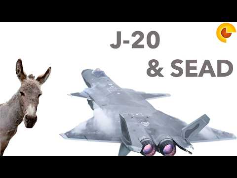 I am an Idiot (J 20 Updates and NATO SEAD/DEAD weapons)
