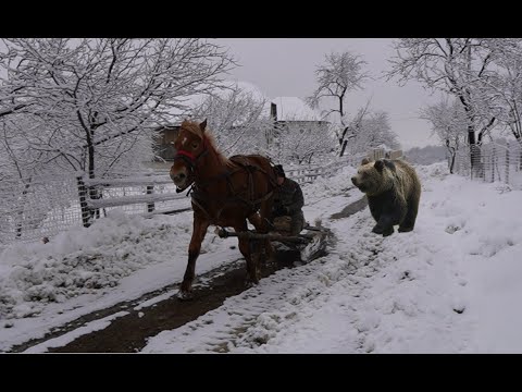 How we survive harsh winters for thousands of years in the mountains.