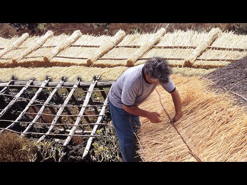 The RYE in the construction of ROOFS. Traditional technique to cover ROOFS with this cereal