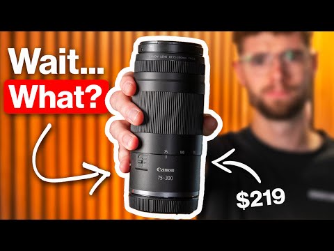 Canon RF 75-300mm f/4-5.6 Lens Review | Watch Before You Buy...