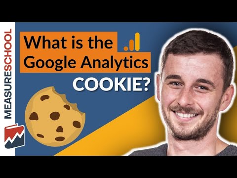 The Google Analytics Cookie (Explained)