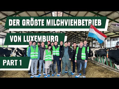 Luxembourg's largest dairy farm 🐄🇱🇺 | AgriCol – Part 1