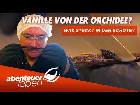 Die Geheimnisse der Vanille: Von der Ernte bis zum perfekten Geschmack | Abenteuer Leben