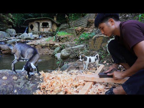 Full Video: 30 Days of Building a Wood Shop. Living Alone in the jungle with a Baby Goat and a Puppy