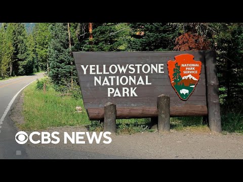 Trump administration fires thousands of U.S. Forest and National Park Service workers