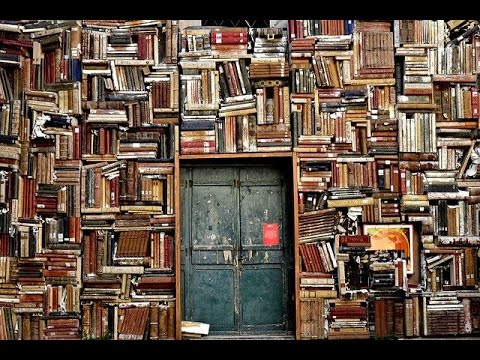 Which Degree Should I get to be a Quant or Data Scientist?