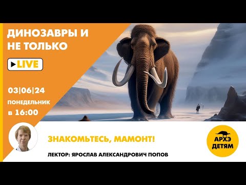 Занятие "Знакомьтесь, мамонт!" кружка "Динозавры и не только" с Ярославом Поповым