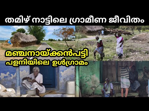 പളനിയിലെ ഉൾഗ്രാമ കാഴ്ച്ചകൾ ഇതൊക്കെയാണ് | Manjanaickanpatti Village | Tamil Nadu Village Life