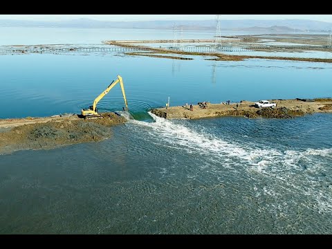 Largest wetland restoration project on the west coast