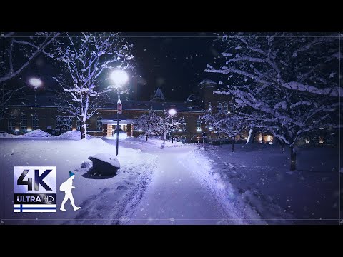 3 Hours of Purely Authentic Snow Walks in Finland - Slow TV 4K