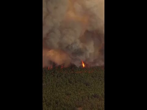 Thousands Forced To Flee New Jersey Wildfire
